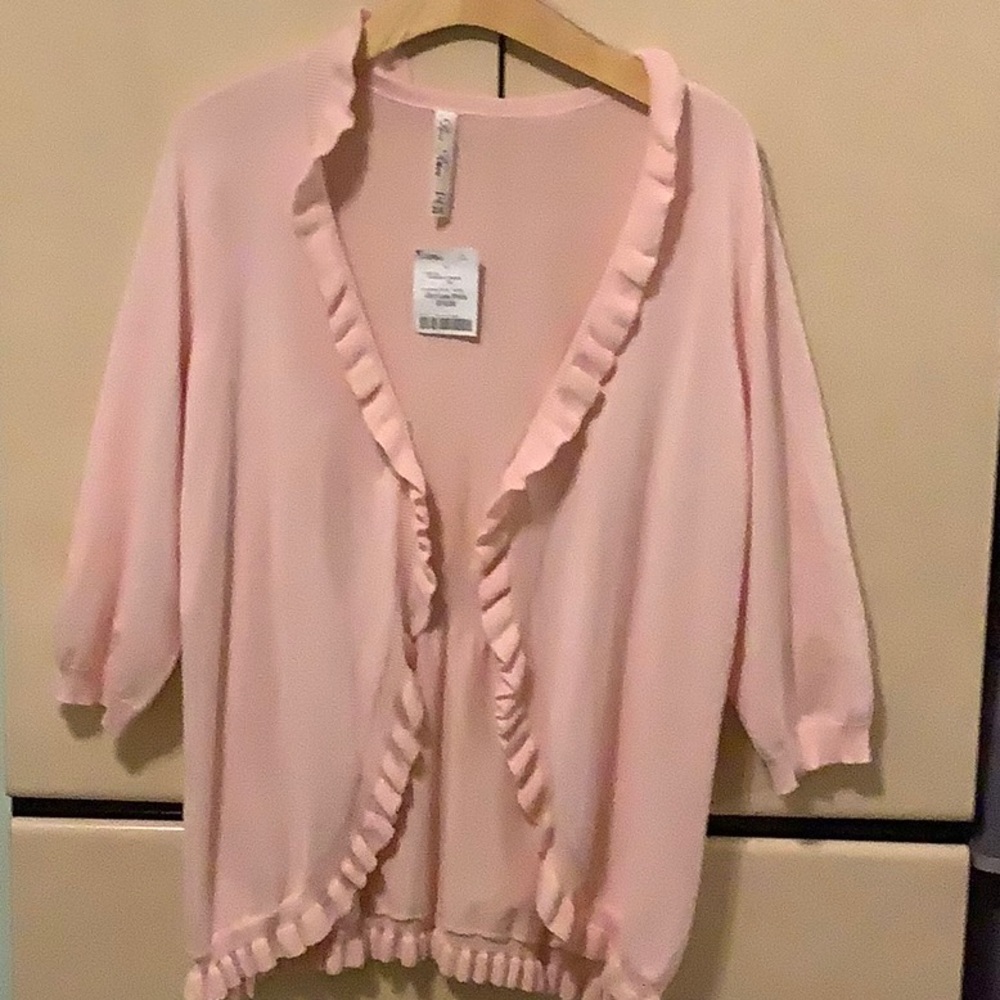 Soft, blush pink, lightweight sweater. Fits more like an XL.
